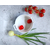 BAKING DISH WITH HANDLES WL‑997034/A WILMAX Baking dish with handles wl‑997034/a Wilmax (photo 13)