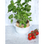 BAKING DISH WITH HANDLES WL‑997034/A WILMAX Baking dish with handles wl‑997034/a Wilmax (photo 12)