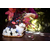 TANIER WL‑771023/A WILMAX Tanier wl‑771023/a Wilmax (photo 6)