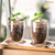 GLASS WL‑888731/A WILMAX Glass wl‑888731/a Wilmax (photo 12)