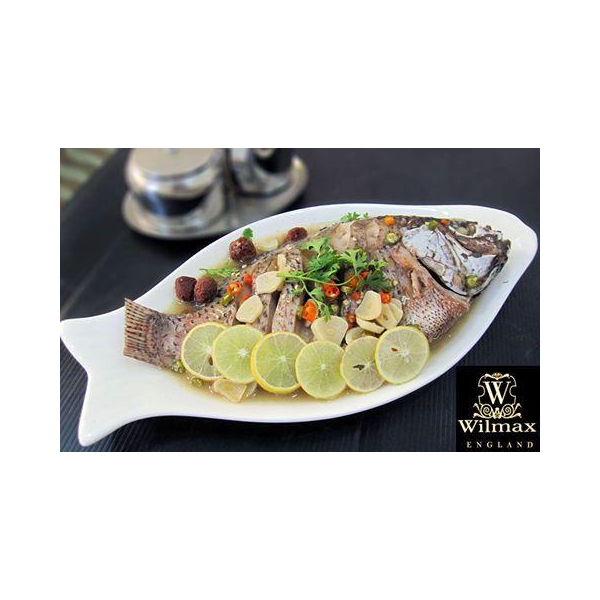 Tanier na rybu wl‑992007/a Wilmax (photo 5)