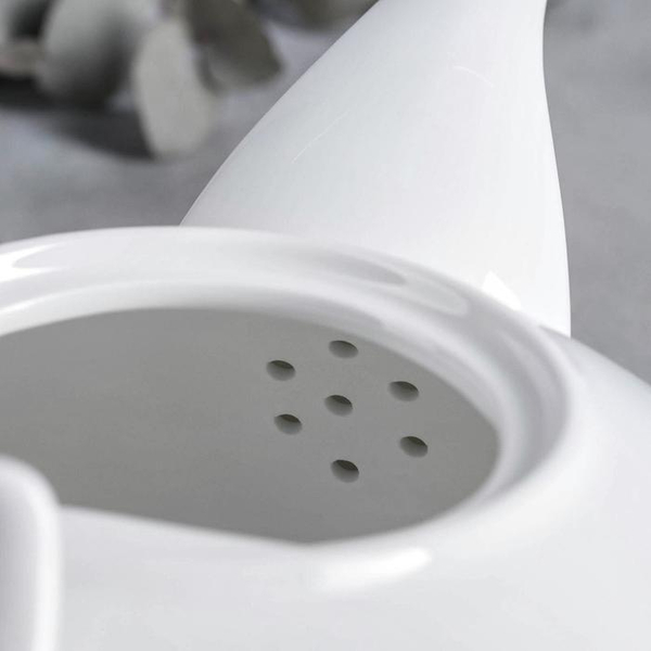 čajník v darčekovom boxe wl‑994042/1c Wilmax (photo 6)