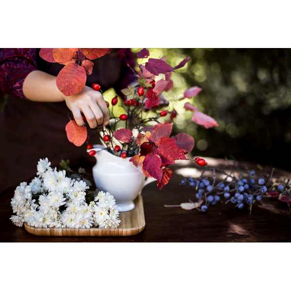 SZKLANY DZBANEK W OPAKOWANIU PREZENTOWYM WL‑995031/1C WILMAX Szklany dzbanek w opakowaniu prezentowym wl‑995031/1c Wilmax (photo 6)