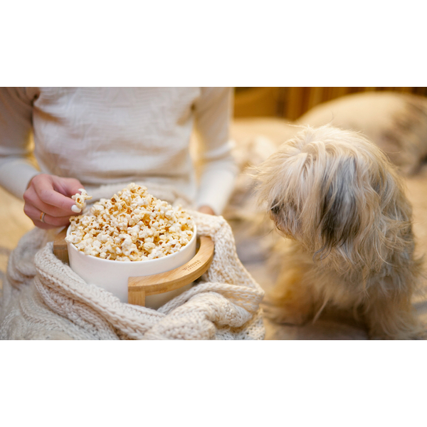 Bowl wl‑992749/a Wilmax (photo 11)