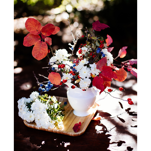 SZKLANY DZBANEK W OPAKOWANIU PREZENTOWYM WL‑995031/1C WILMAX Szklany dzbanek w opakowaniu prezentowym wl‑995031/1c Wilmax (photo 8)