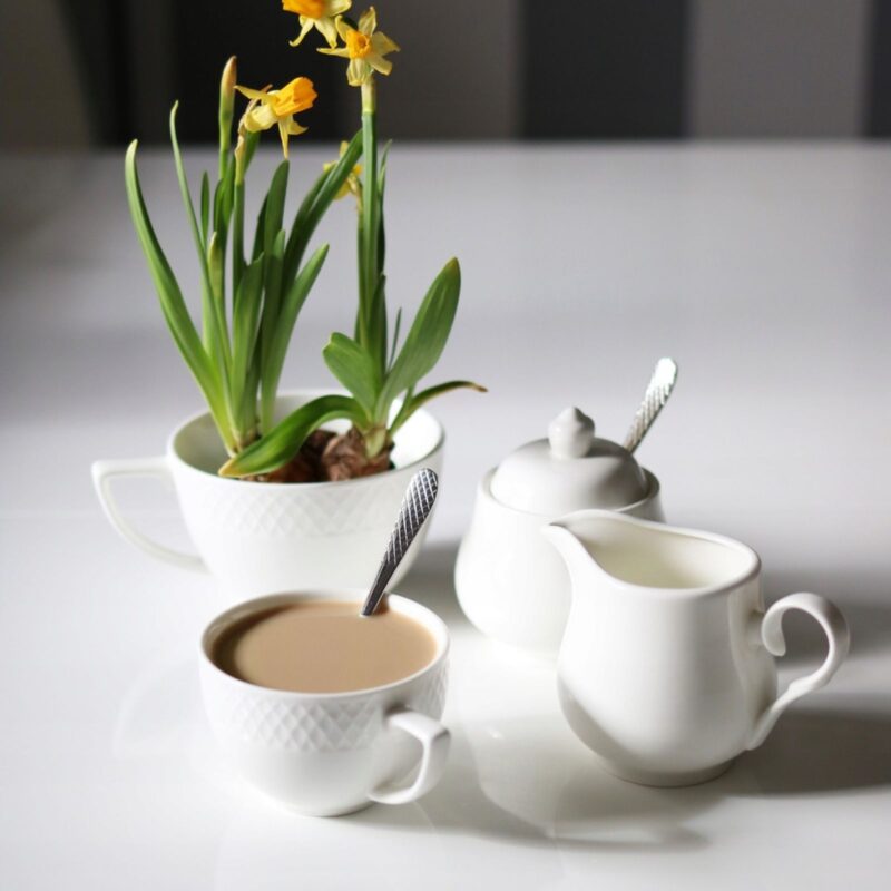 Filiżanka i spodek biały porcelanowy 240 ml zestaw 6 sztuk WL-880105/6C