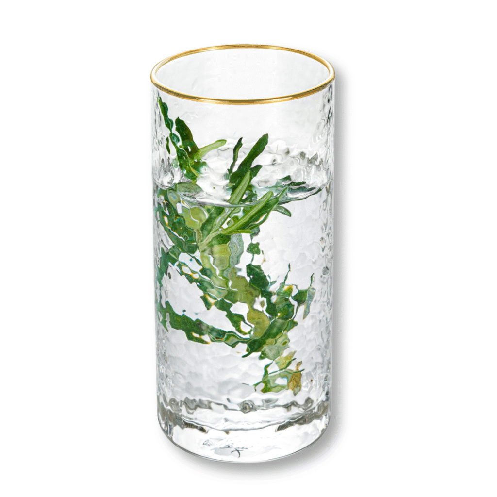 Szklanka ze szkła ze złotym rantem 290 ml WL-888631/A