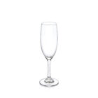 Kieliszek do szampana 230 ml zestaw 6 sztuk WL-888027/6A