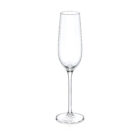 Champagne glass 260 ml set of 2 pieces WL-888048/2C